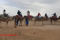 camel-ride