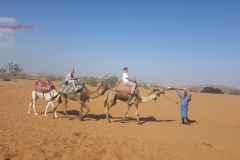 desert
