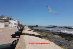 mogador1
