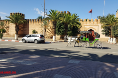 taroudant2