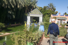 majorelle