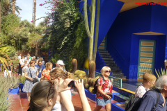 majorelle1