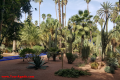 marrakech2