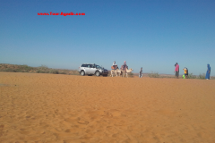small-desert