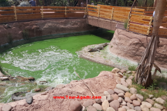crocopark2