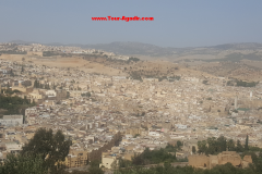 fes