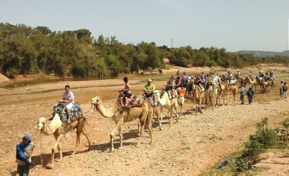 camel ride in Agadir