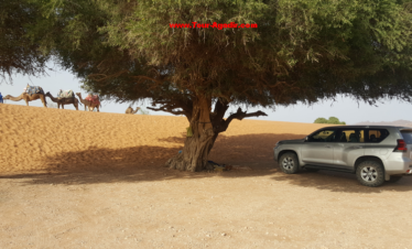 agadir mini sahara
