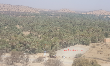 shore excursion to taroudant
