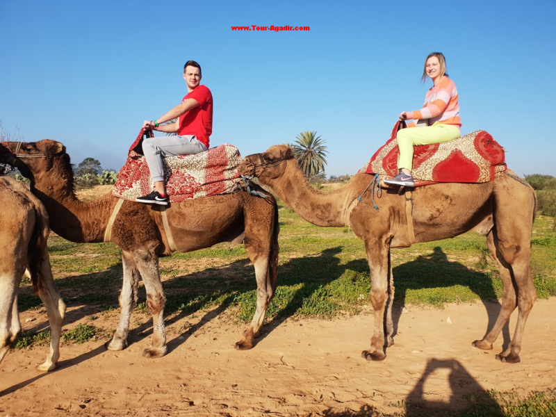 camel-riding-near-agadir