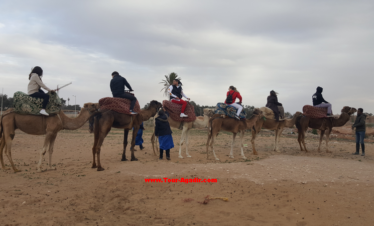 balade dromadaire à Agadir