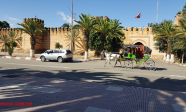 Excursion demi journée Taroudant