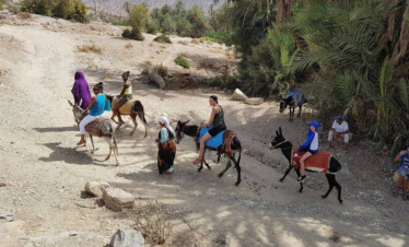 excursions à agadir