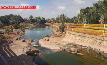 taroudant trip and crocoparc agadir