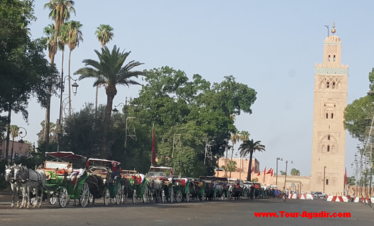 Agadir reise nach Marrakech