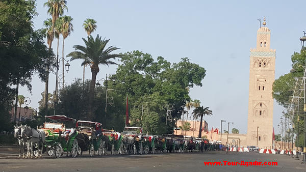 Agadir reise nach Marrakech