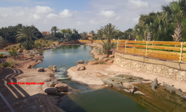 visite agadir et croco parc
