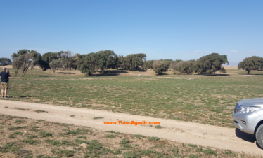 Agadir small desert and national park