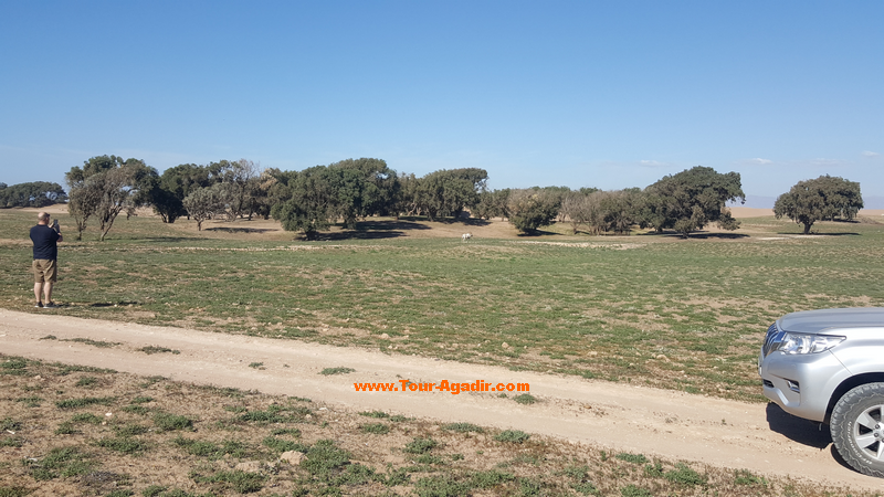 Agadir small desert and national park